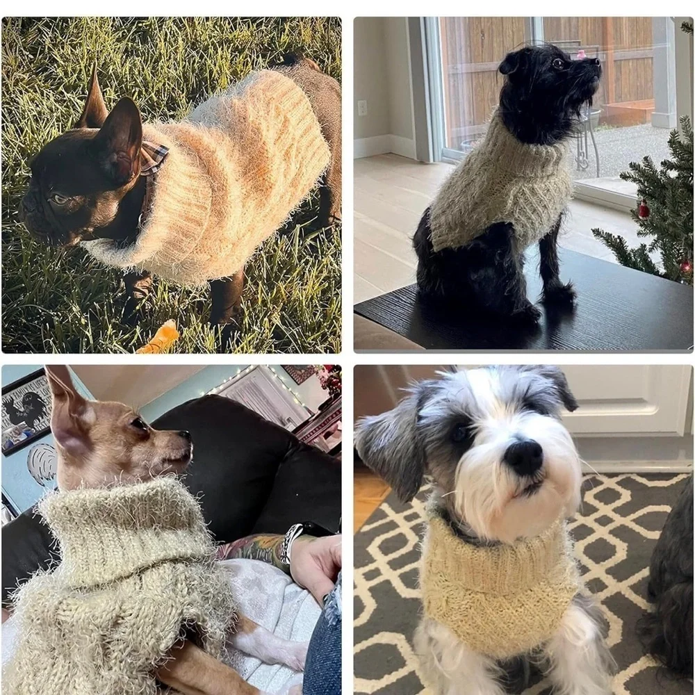 Cyeollo Cozy Cream Dog Sweater